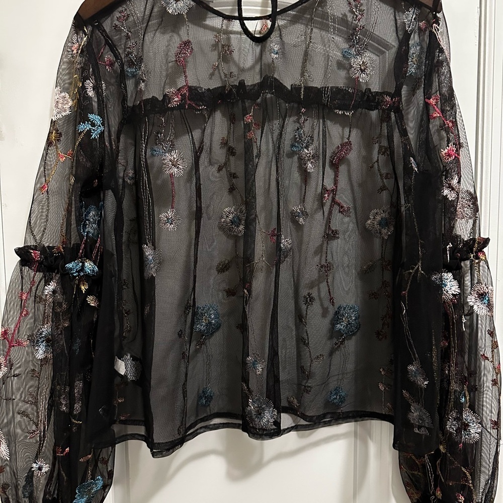 Women’s Embroidered Long Sleeve Mesh Fairy Grunge Top Size L Whimsygoth Festival - Picture 9 of 15